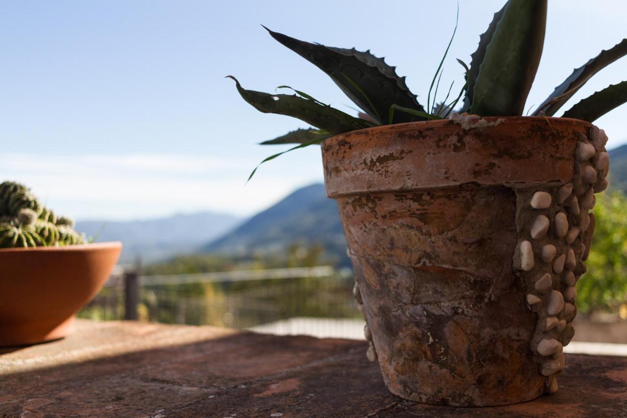 Montanari Agrivillage Narni Exterior foto